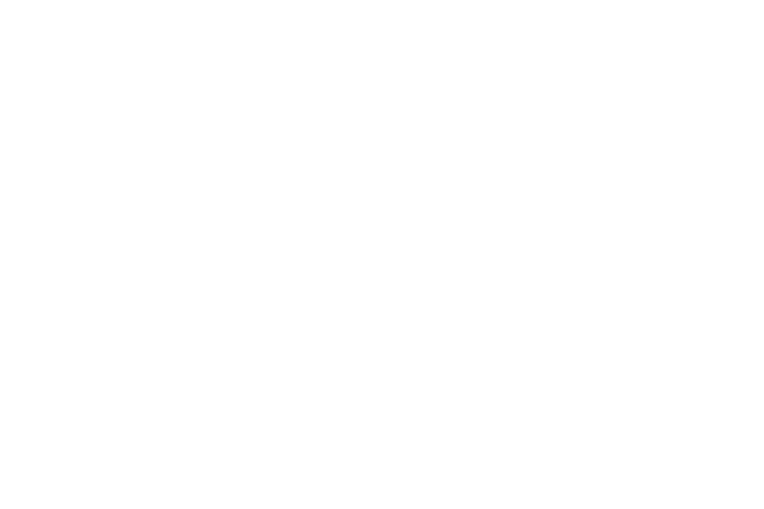 fadiniconsulting.com